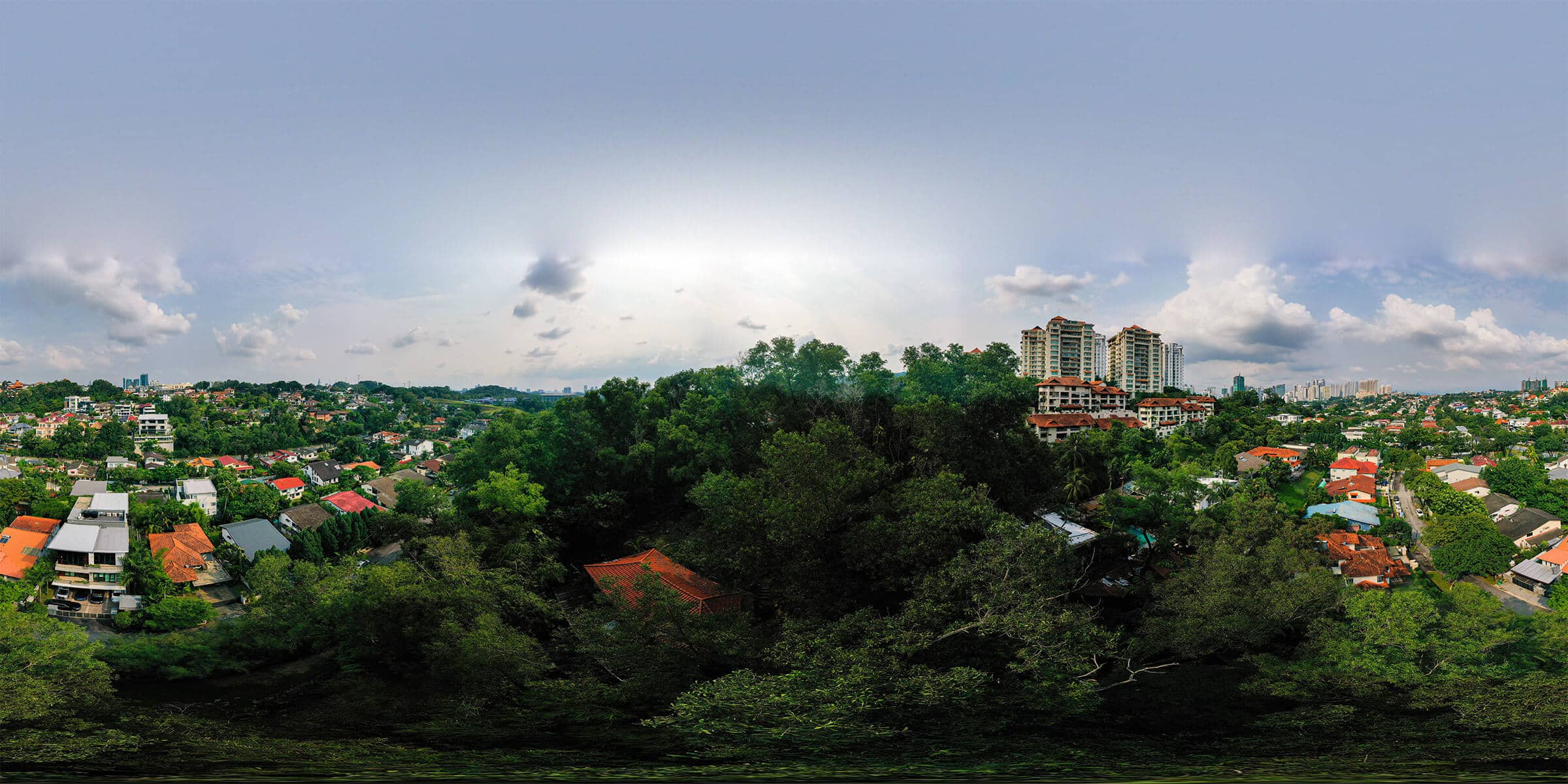 Residence | The Cedar